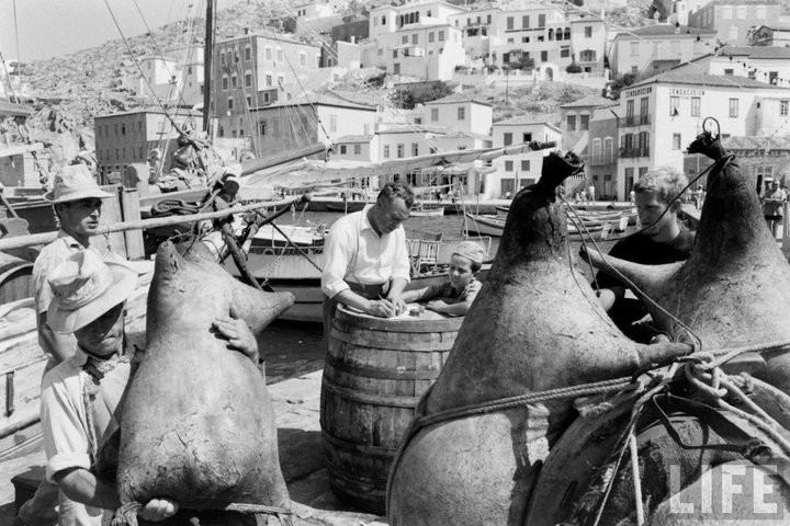 Unloading in the harbor in the 1950s or 1960s