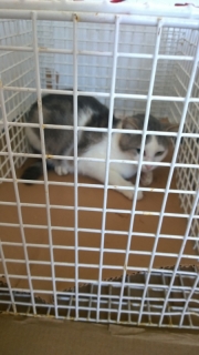 wp_20140509_13_30_55_pro