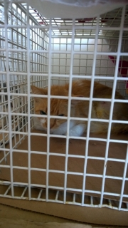 wp_20140509_13_31_02_pro