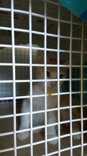 wp_20140509_14_00_30_pro