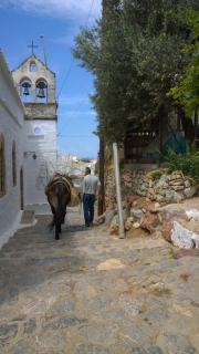 wp_20140510_12_04_44_pro