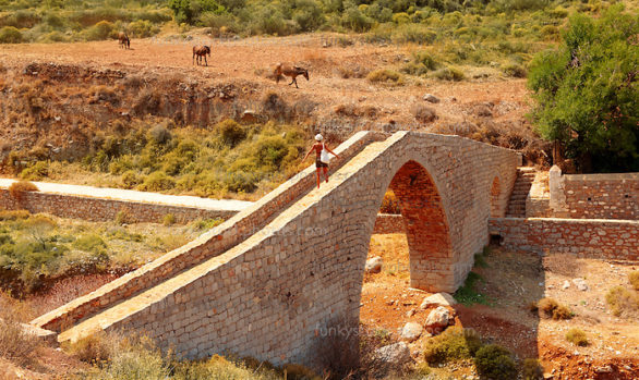 Vlychos Bridge ◊ Vlychos