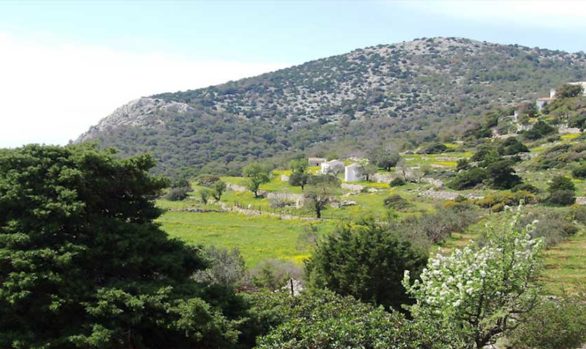 Walks & Hikes Heading West