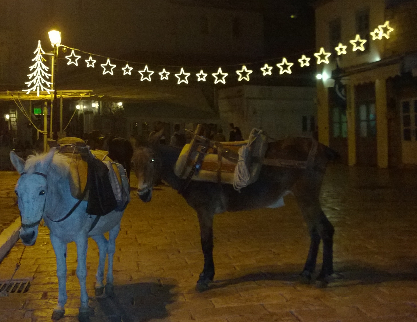 DonkeysLightsSmallest