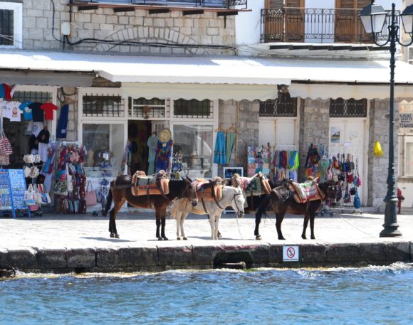 21st Century ◊ Hydra Harbor