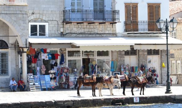 Joy ◊ Hydra Harbor