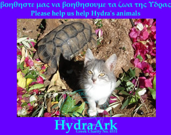 Animal Welfare ◊ HydraArk