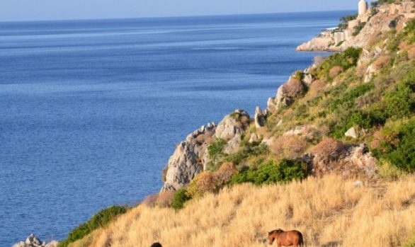 Walks & Hikes Heading West