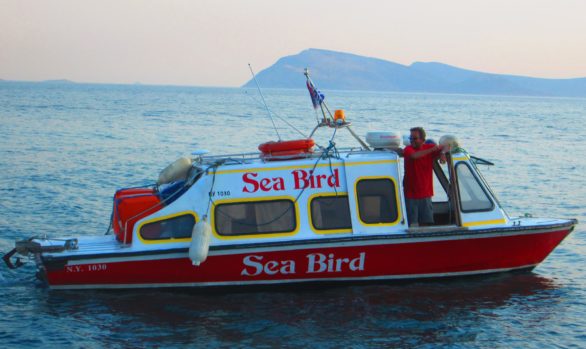 Seabird Water Taxi