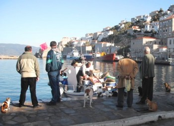 Locals buying fish on the harbor of Hydra Island Greece