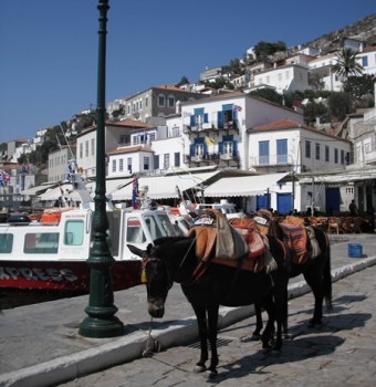 Aside from your feet, donkeys and boats are the only means of transport on Hydra Island Greece