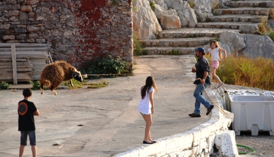 Running with the Rams