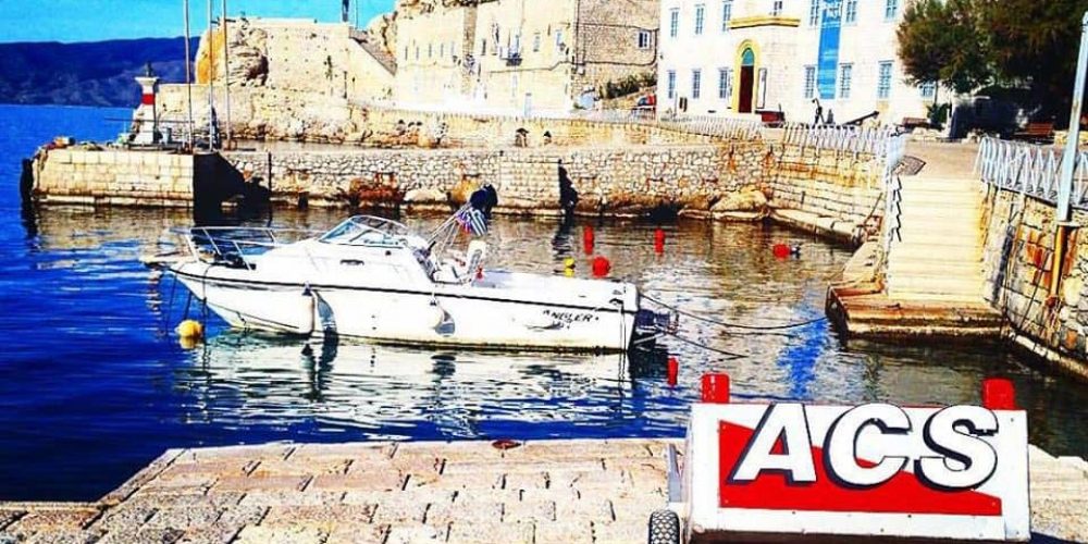 Alexandros ACS Courier